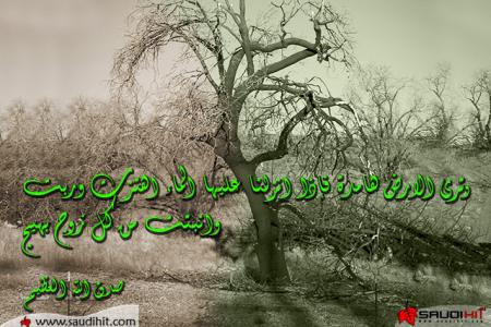 ayah